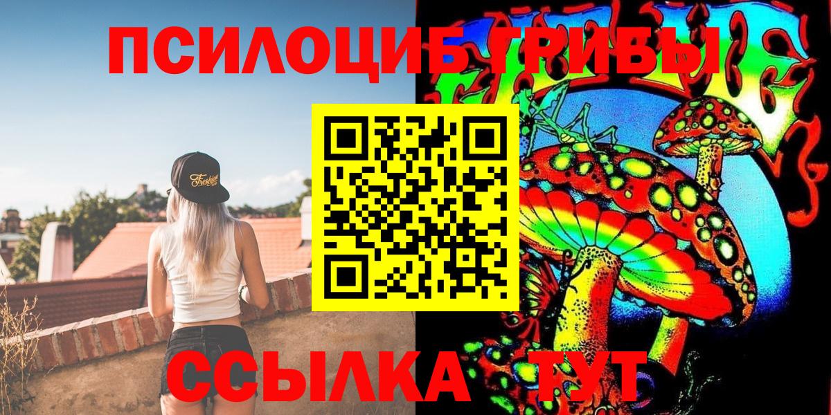Псилоцибиновые грибы Magic Shrooms  наркошоп  Петрозаводск  Вход с VPN 